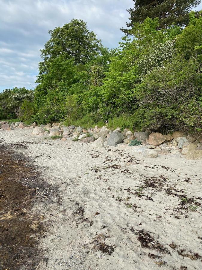 Feriehus Med Havudsigt Spodsbjerg Kültér fotó